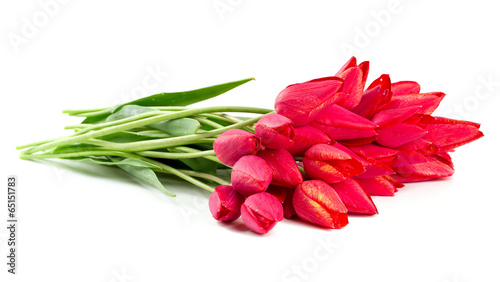 bunch of tulips over white