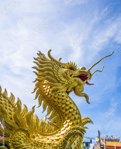 Golden dragon statue © domonite