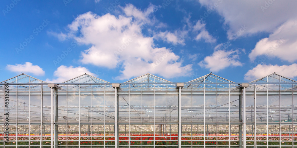 Panorama image of a greenhouse with flowers inside Panorama image of a greenhouse with flowers inside