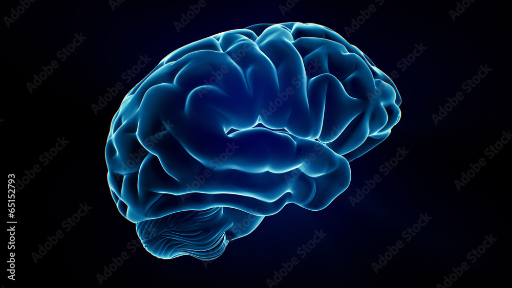 Xray Brain Xray Brain