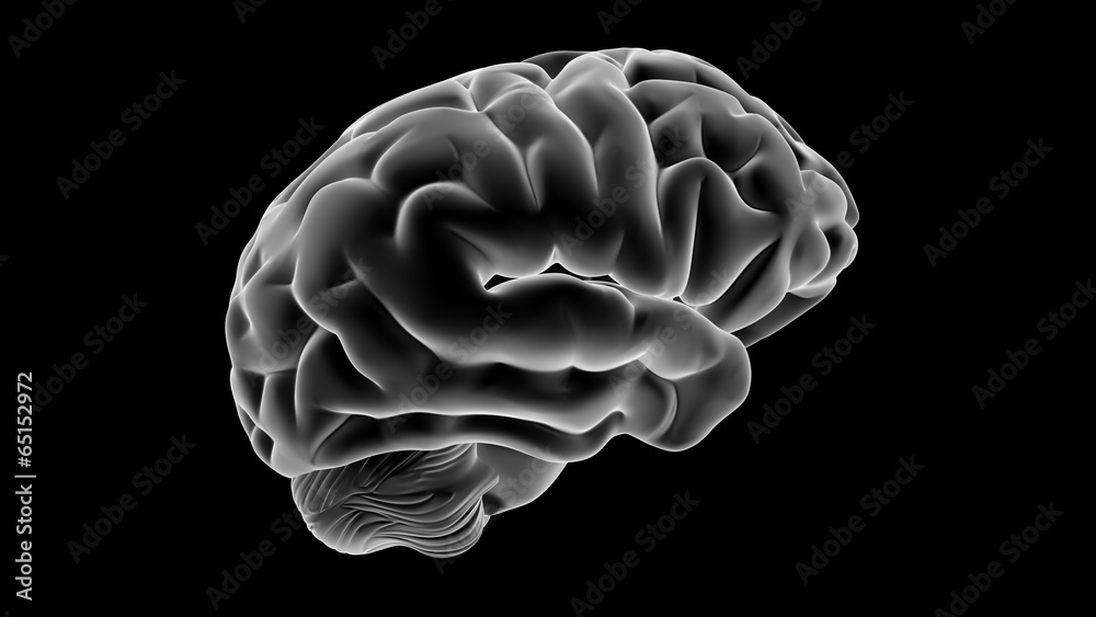Obraz premium Xray Brain