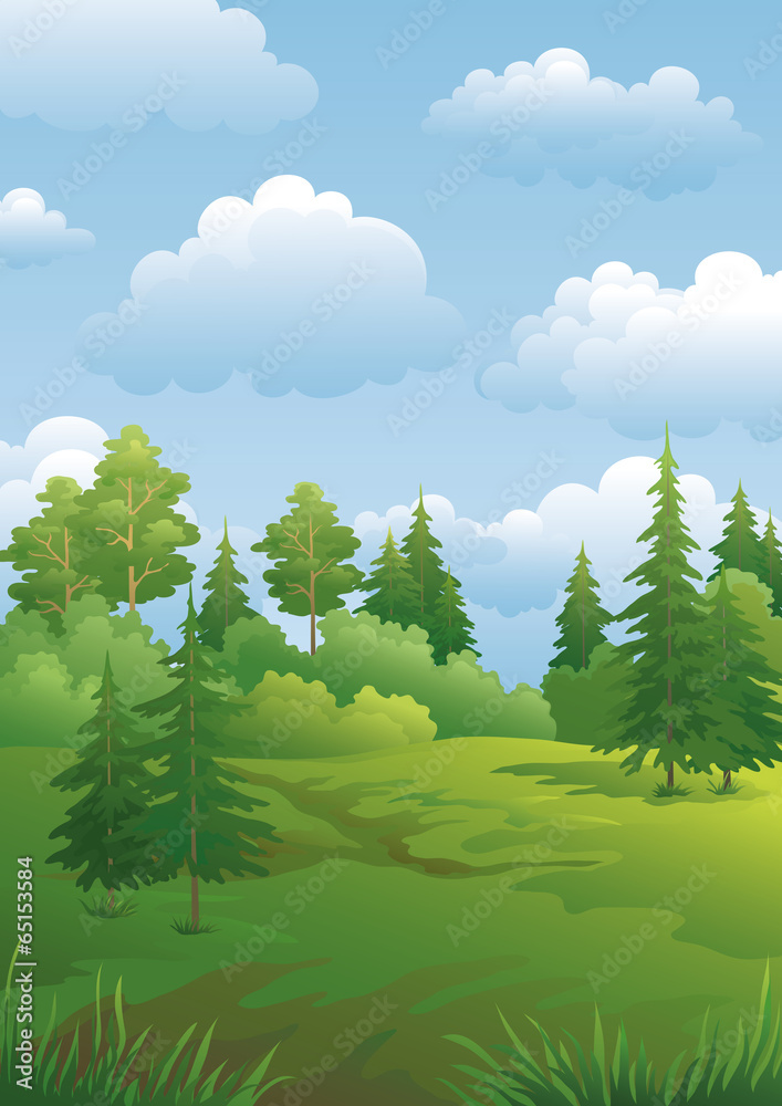 Obraz premium Landscape, green summer forest