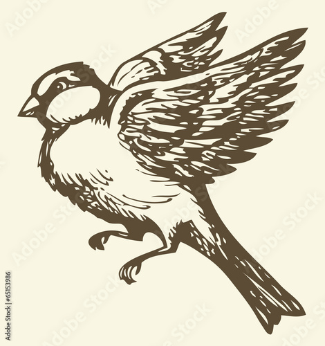 Vector drawing. Small titmouse on a branch