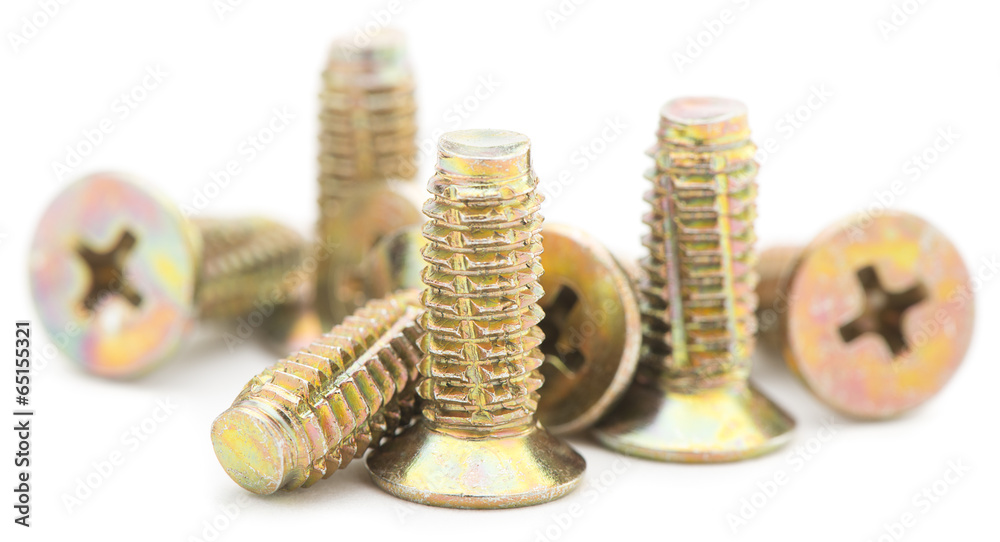 Fototapeta premium Galvanized Screws