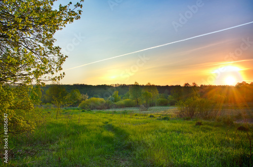 Landscape with the sunrise over the meadow and lines from the ai