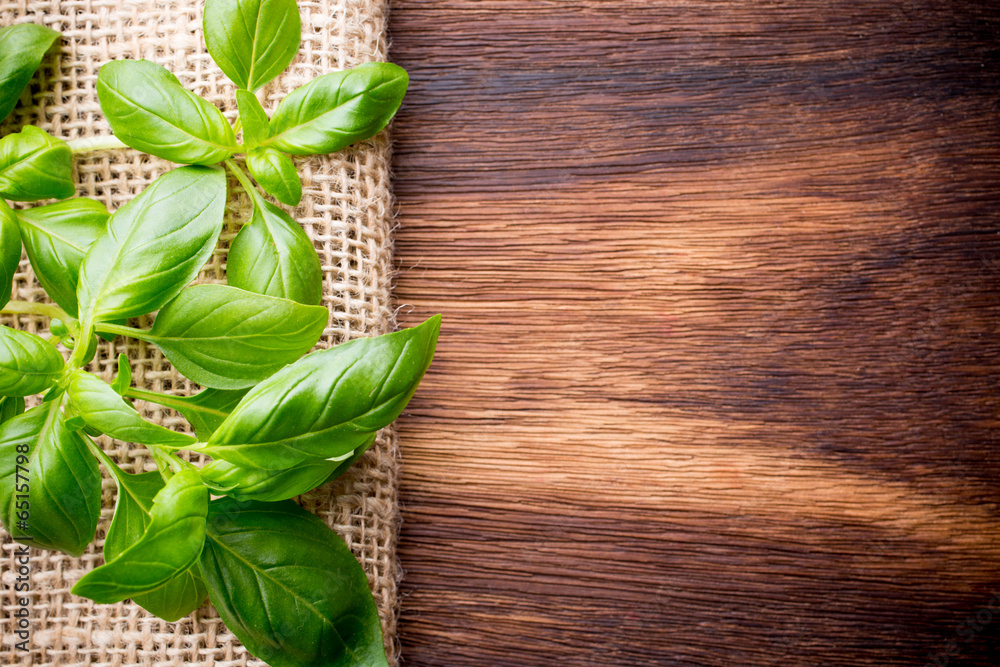 Basil. Basil.