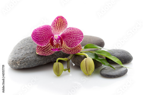Spa stones