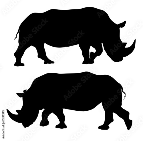 Rhinoceros
