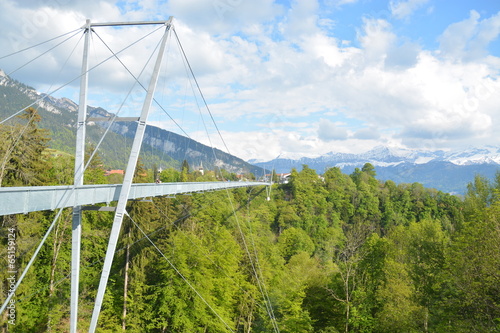 Panoramic Suspension Bridge Sigriswil photo