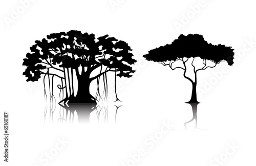 silhouettes of tropical trees