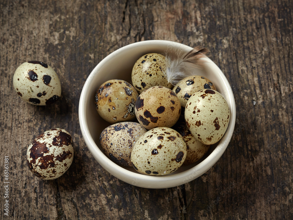 quail eggs quail eggs