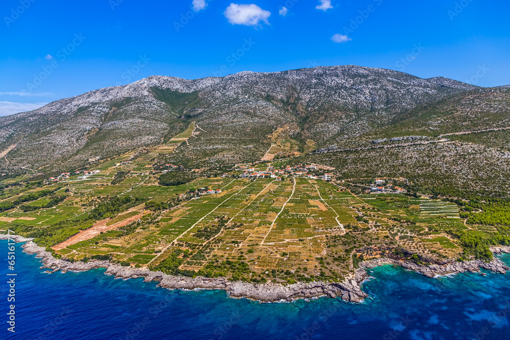 Obraz premium Dingac vineyards on Peljesac peninsula
