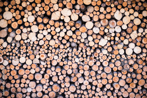 stack of round cutted firewood pieces as background texture