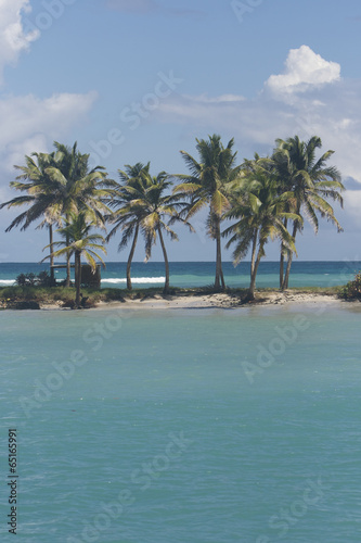 palm mayreau saint vincent and the grenadines caribbean 09 © into the wild