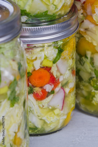 home made cultured or fermented vegetables
