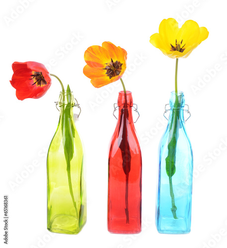 Fototapeta Naklejka Na Ścianę i Meble -  Beautiful tulips in bottle-vase isolated on white
