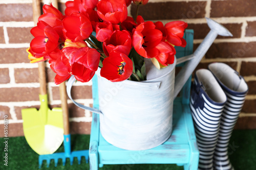 Fototapeta Naklejka Na Ścianę i Meble -  Composition of colorful tulips in watering can and rain boots