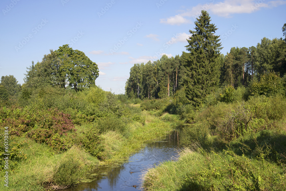 Obraz premium Летний день на реке Славянке