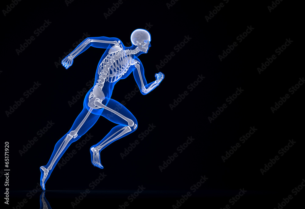 Running skeleton. Contains clipping path.