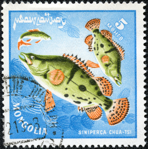 stamp printed by Mongolia show the fishes photo