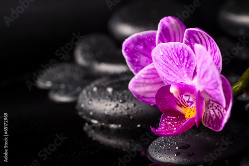 Spa concept of zen stones, blooming twig lilac stripped orchid,