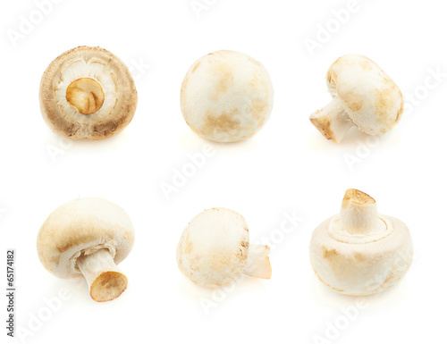 Six champignon mushrooms