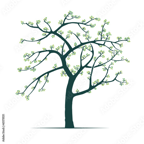 Springtime tree