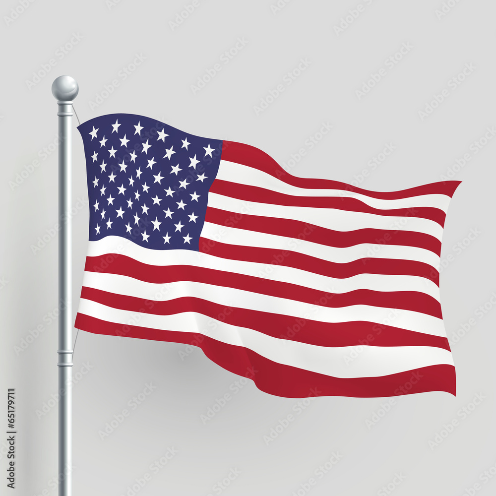 Fototapeta premium 3d vector American flag