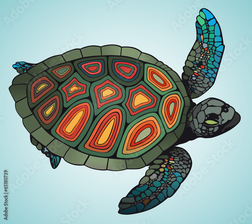 Colored turtle swims on blue background