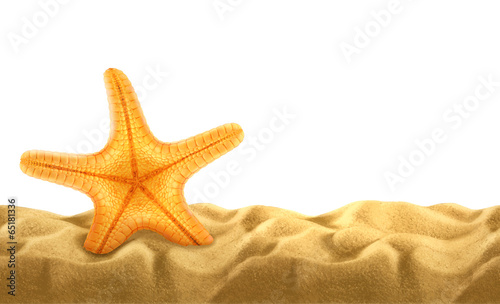 Summer background, starfish in the sand