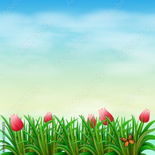 A garden with red flowers