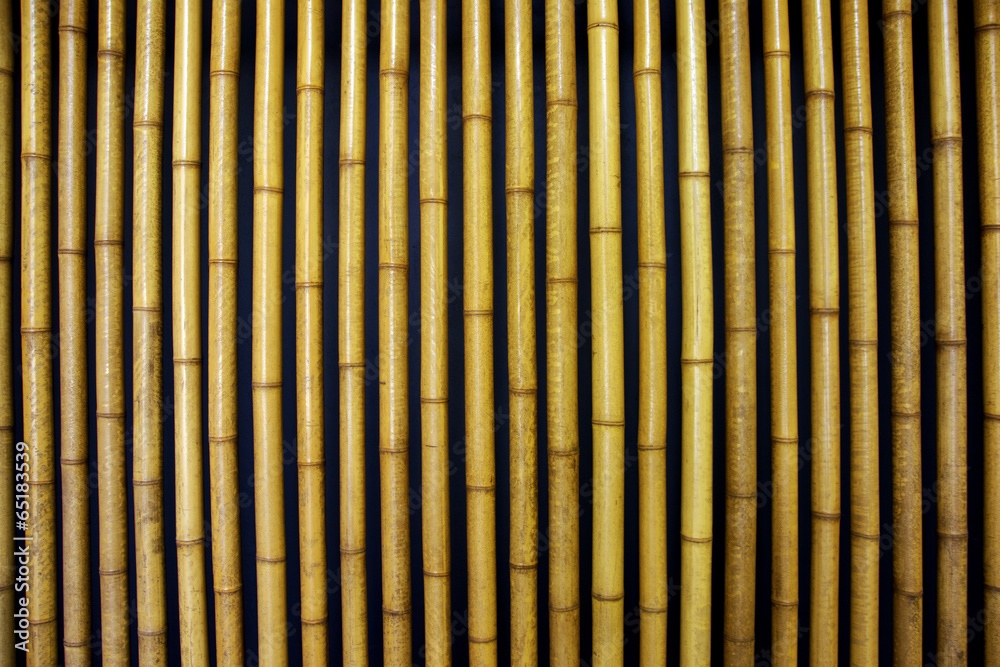 Bamboo Bamboo