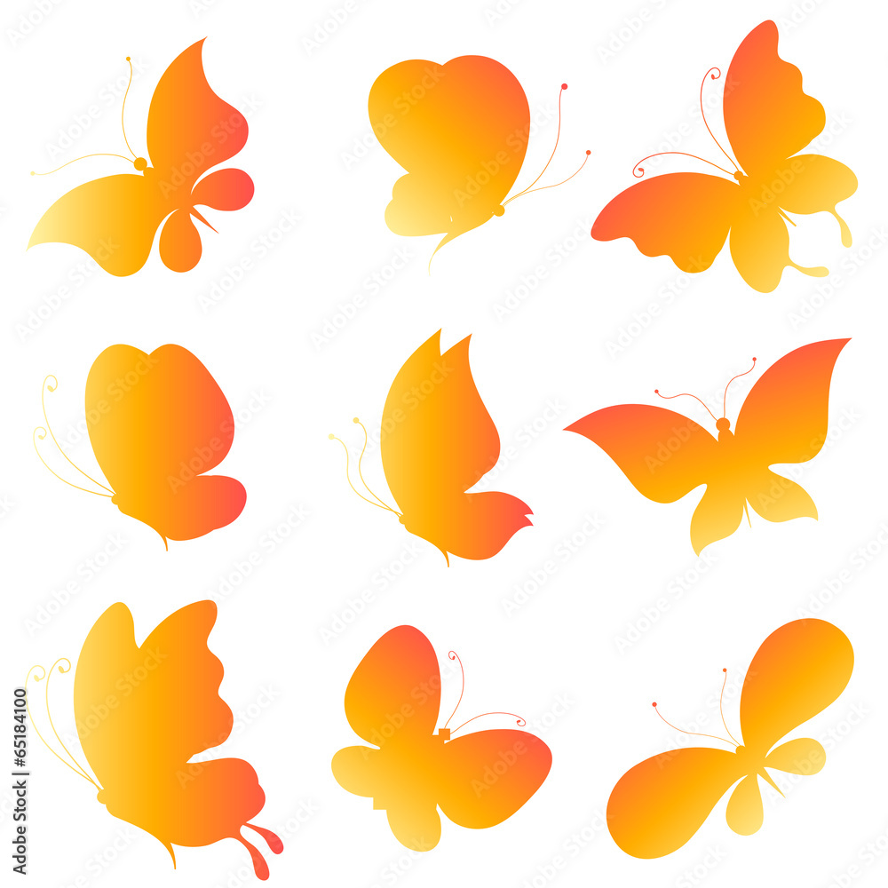 butterflies design