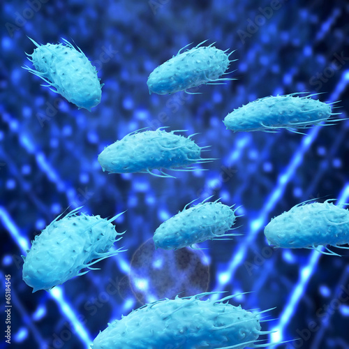 Proteus Bakterien - 3d Render