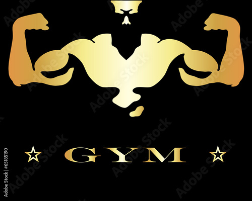 design for gym and fitness