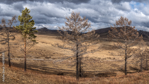 Foothills Of The Kuznetsk Alatau. photo