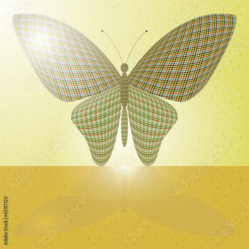 butterfly on the wall and its reflection on a horizontal surface