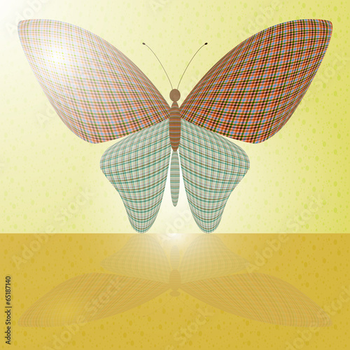butterfly on the wall and its reflection on a horizontal surface