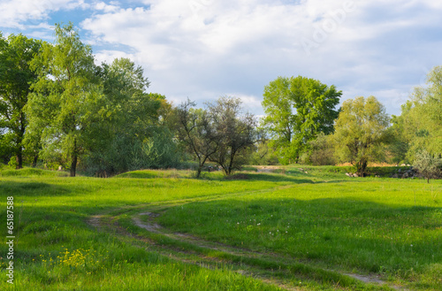 Seasonal landscape in central Ukraine