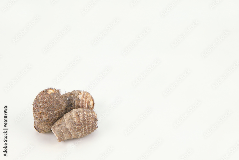 The image of fresh vegetable The image of fresh vegetable