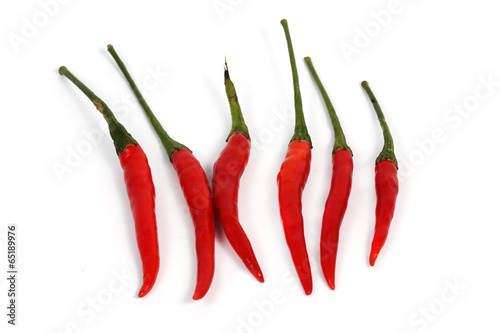 Hot red chili peppers