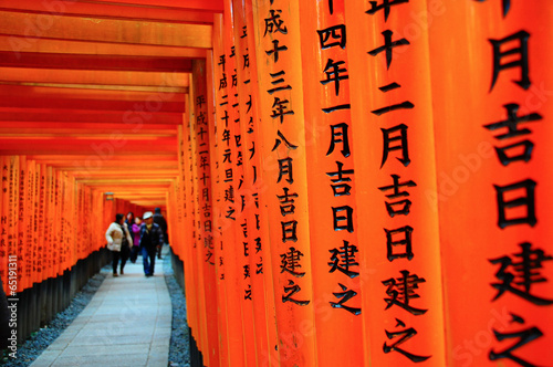 fushimienari shrine photo