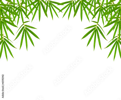 Fototapeta Naklejka Na Ścianę i Meble -  bamboo leaves isolated on white background