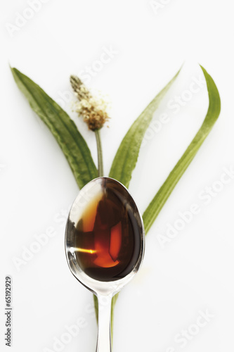 Spitzwegerich mit einem Löffel Hustensaft auf weißem Hintergrund
