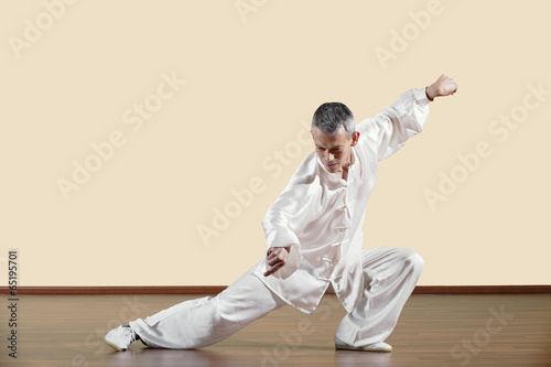 Kung Fu,Tanglangquan,Ludong Tuobu,Gottesanbeterin Stil,Man praktiziert Kung-Fu