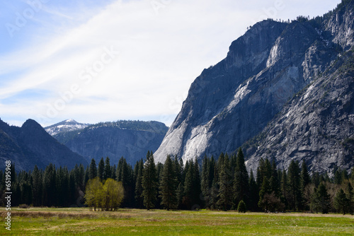 Mountain, Pine Trees and Sky, Yosemite National Park © burachet