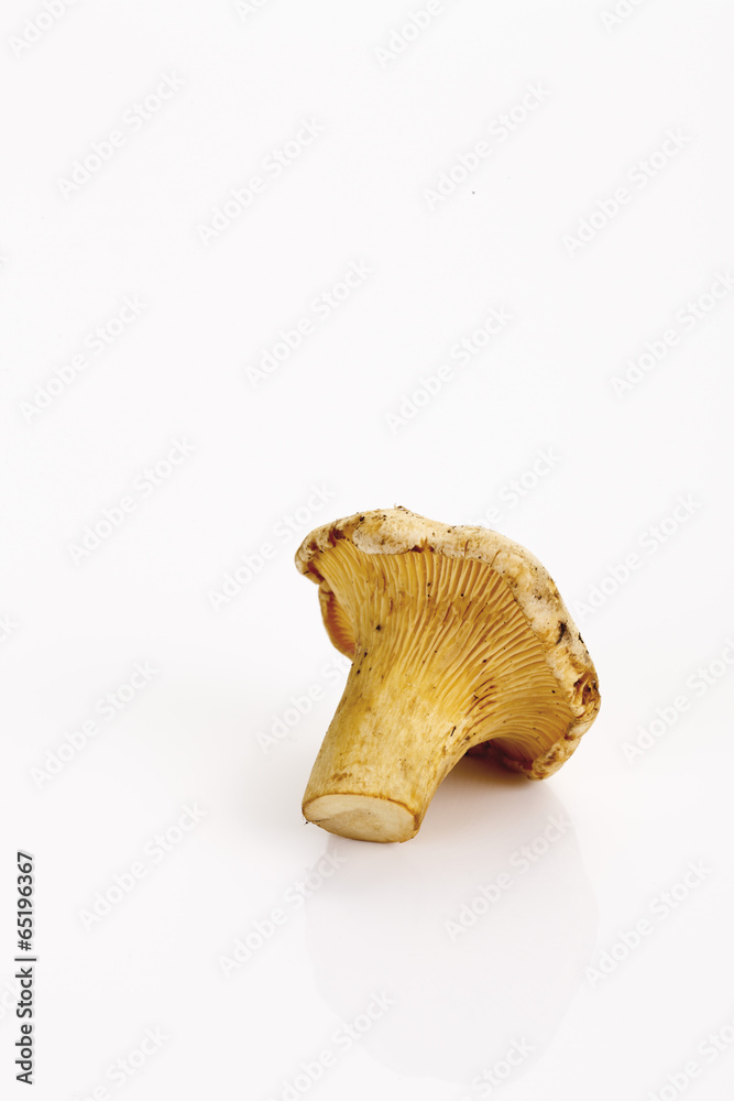 Fototapeta premium Rohes Pfifferlingen