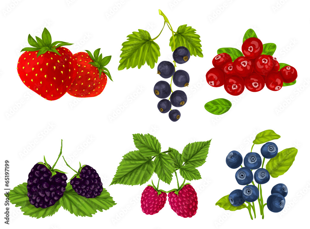 Fresh berries set Fresh berries set