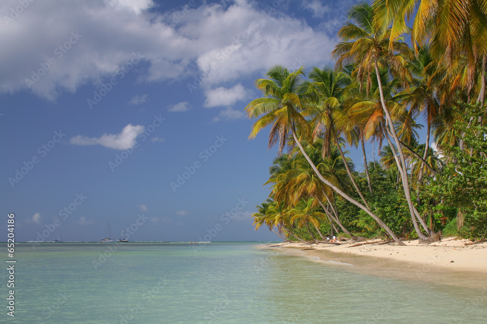 Obraz premium Caribbean beach