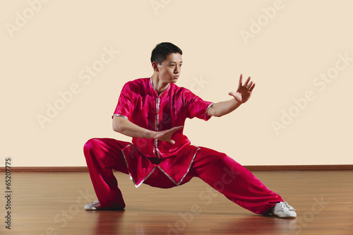 Konstfotografi Kung Fu,Baguazhang,Ban mabu tuizhang,asiatische Kampfkünste